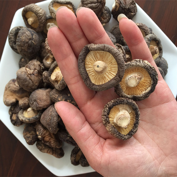 新貨農家自產干香菇干貨小香菇500g